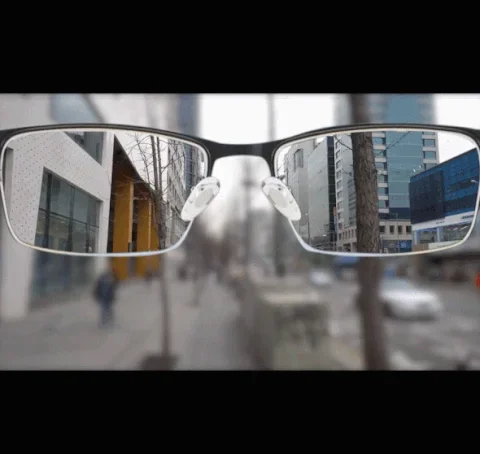 View through Far & Near lenses
